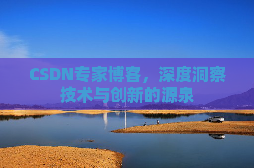 CSDN专家博客，深度洞察技术与创新的源泉